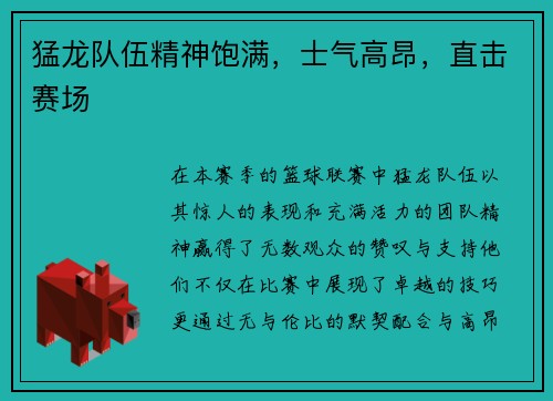 猛龙队伍精神饱满，士气高昂，直击赛场